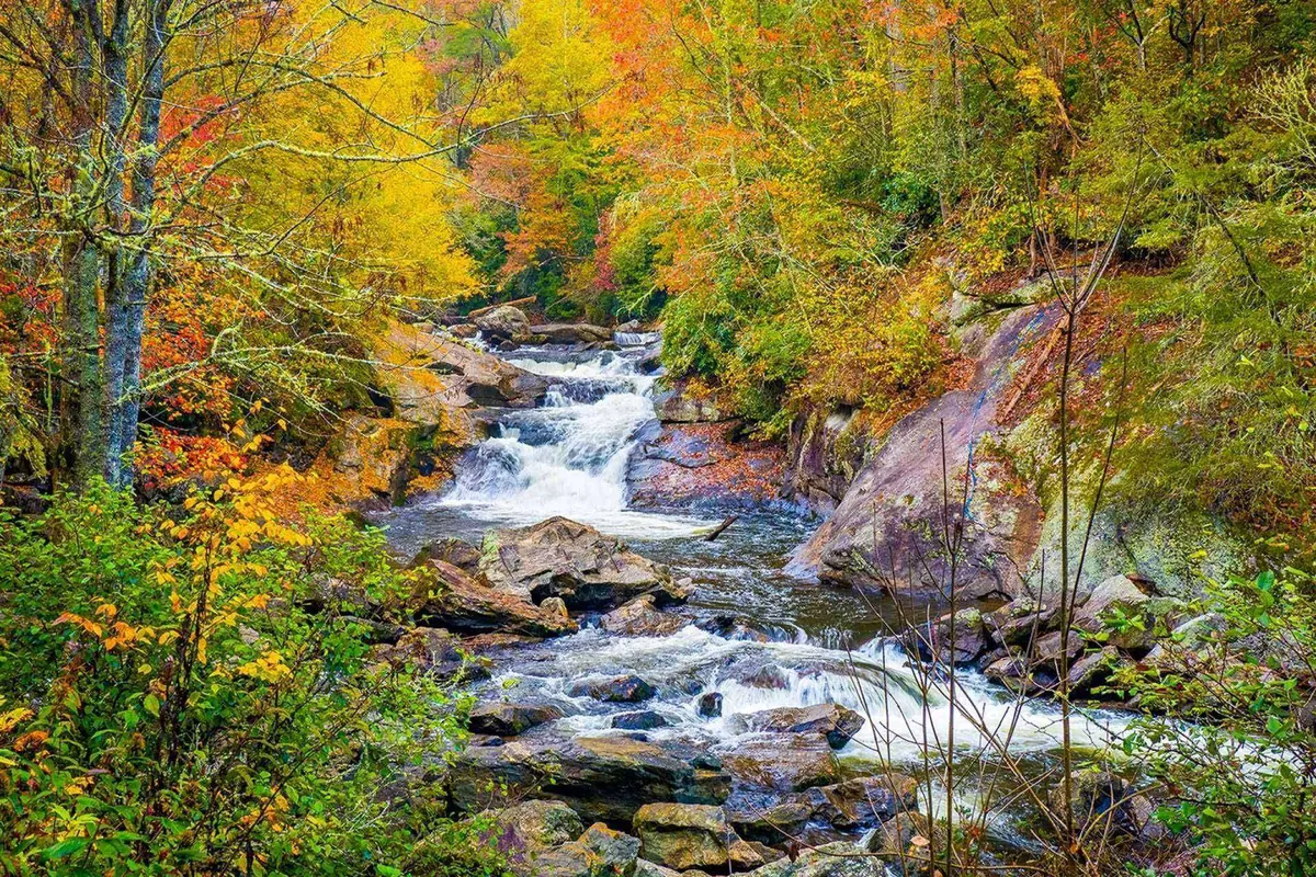 A striking exterior view captures a flowing river bordered by colorful autumn foliage and dramatic rock formations. The vibrant leaves reflect in the calm water, creating a picturesque snapshot of the natural beauty surrounding Lake Norman during fall.