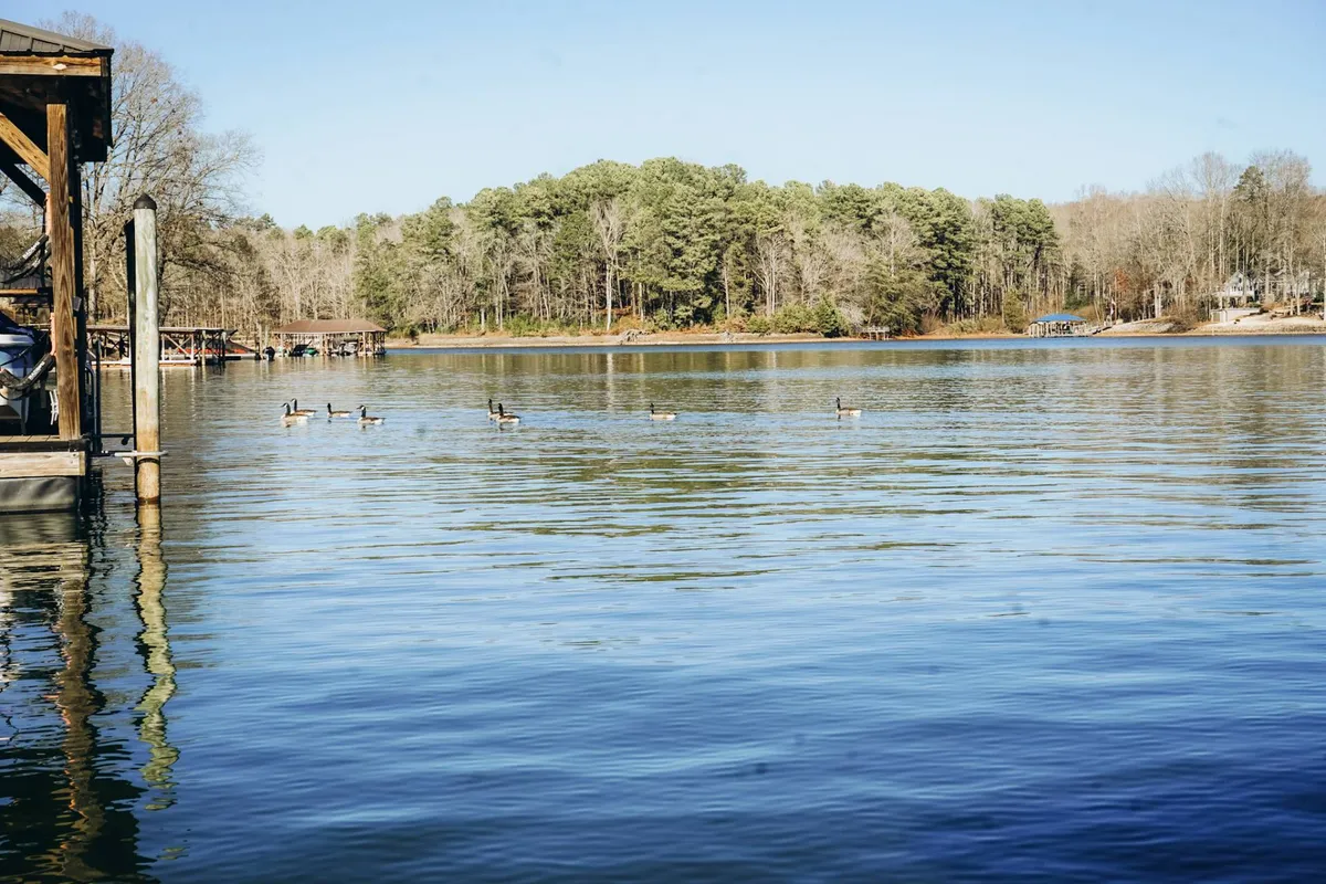 A serene lakeside view featuring calm water, a wooden dock, and geese swimming, with trees lining the shore. The tranquil atmosphere invites both relaxation and exploration, hinting at the natural beauty surrounding the property.